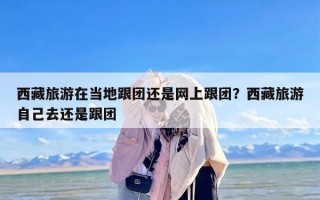 西藏旅游在当地跟团还是网上跟团？西藏旅游自己去还是跟团