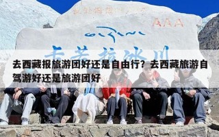 去西藏报旅游团好还是自由行？去西藏旅游自驾游好还是旅游团好