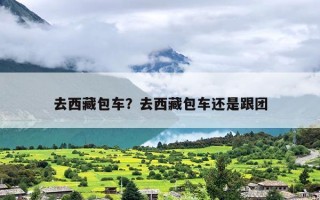 去西藏包车？去西藏包车还是跟团