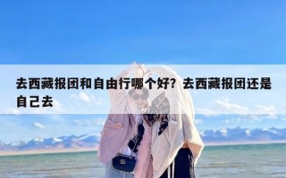 去西藏报团和自由行哪个好？去西藏报团还是自己去