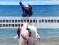拉萨旅行社旅游报价及路线？拉萨当地旅行社比较好的是哪几家