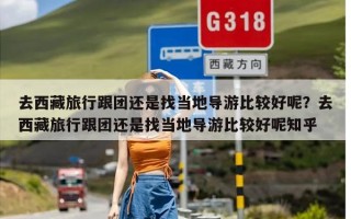 去西藏旅行跟团还是找当地导游比较好呢？去西藏旅行跟团还是找当地导游比较好呢知乎