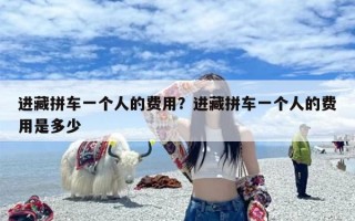 进藏拼车一个人的费用？进藏拼车一个人的费用是多少