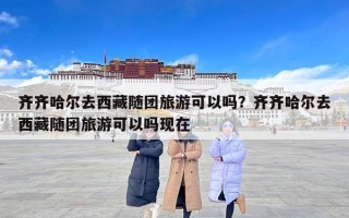 齐齐哈尔去西藏随团旅游可以吗？齐齐哈尔去西藏随团旅游可以吗现在