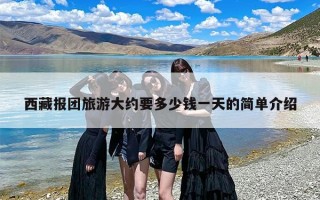 西藏报团旅游大约要多少钱一天的简单介绍