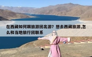 在西藏如何跟旅游团出游？想去西藏旅游,怎么和当地旅行团联系
