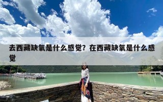 去西藏缺氧是什么感觉？在西藏缺氧是什么感觉