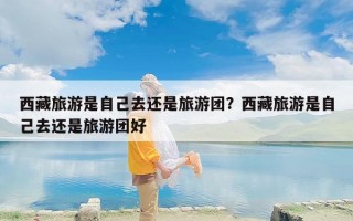 西藏旅游是自己去还是旅游团？西藏旅游是自己去还是旅游团好