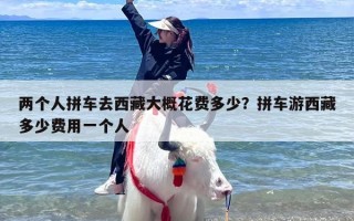 两个人拼车去西藏大概花费多少？拼车游西藏多少费用一个人