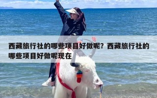 西藏旅行社的哪些项目好做呢？西藏旅行社的哪些项目好做呢现在