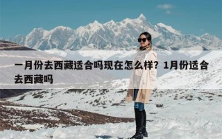 一月份去西藏适合吗现在怎么样？1月份适合去西藏吗