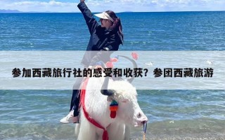 参加西藏旅行社的感受和收获？参团西藏旅游
