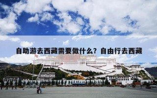 自助游去西藏需要做什么？自由行去西藏
