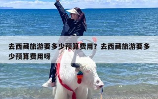 去西藏旅游要多少预算费用？去西藏旅游要多少预算费用呀