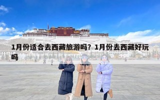 1月份适合去西藏旅游吗？1月份去西藏好玩吗