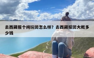去西藏报个纯玩团怎么样？去西藏报团大概多少钱