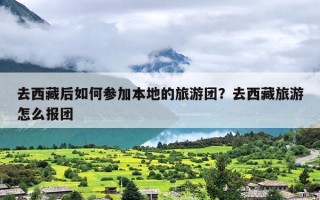 去西藏后如何参加本地的旅游团？去西藏旅游怎么报团