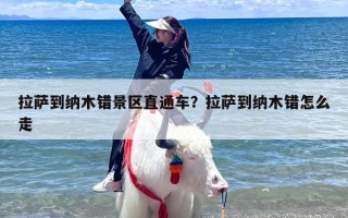 拉萨到纳木错景区直通车？拉萨到纳木错怎么走