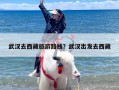 武汉去西藏旅游路线？武汉出发去西藏