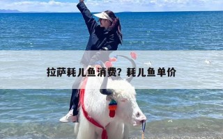 拉萨耗儿鱼消费？耗儿鱼单价
