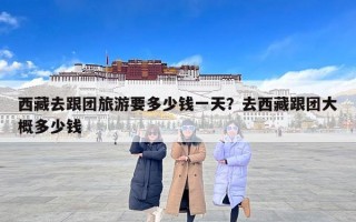 西藏去跟团旅游要多少钱一天？去西藏跟团大概多少钱
