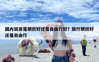 国内旅游是跟团好还是自由行好？旅行跟团好还是自由行