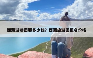 西藏游参团要多少钱？西藏旅游团报名价格