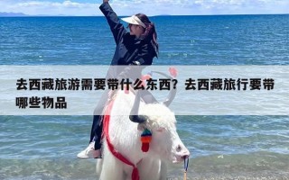 去西藏旅游需要带什么东西？去西藏旅行要带哪些物品