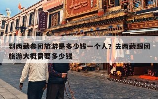 到西藏参团旅游是多少钱一个人？去西藏跟团旅游大概需要多少钱