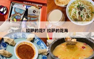 拉萨的花？拉萨的花海