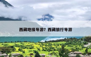 西藏地接导游？西藏旅行导游