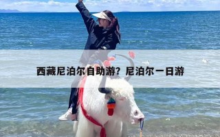 西藏尼泊尔自助游？尼泊尔一日游