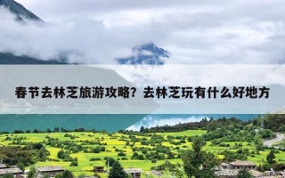 春节去林芝旅游攻略？去林芝玩有什么好地方