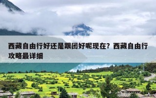 西藏自由行好还是跟团好呢现在？西藏自由行攻略最详细