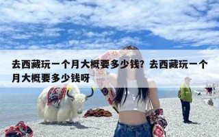 去西藏玩一个月大概要多少钱？去西藏玩一个月大概要多少钱呀