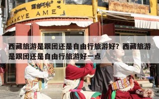 西藏旅游是跟团还是自由行旅游好？西藏旅游是跟团还是自由行旅游好一点