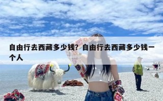 自由行去西藏多少钱？自由行去西藏多少钱一个人