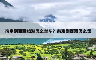 南京到西藏旅游怎么坐车？南京到西藏怎么走