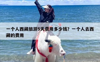一个人西藏旅游5天费用多少钱？一个人去西藏的费用