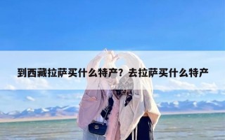 到西藏拉萨买什么特产？去拉萨买什么特产