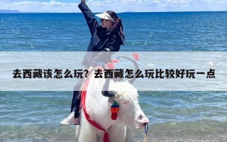 去西藏该怎么玩？去西藏怎么玩比较好玩一点