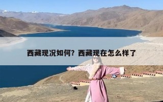 西藏现况如何？西藏现在怎么样了