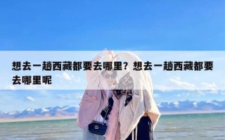 想去一趟西藏都要去哪里？想去一趟西藏都要去哪里呢