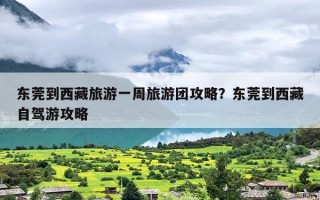 东莞到西藏旅游一周旅游团攻略？东莞到西藏自驾游攻略