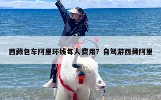 西藏包车阿里环线每人费用？自驾游西藏阿里