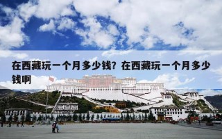 在西藏玩一个月多少钱？在西藏玩一个月多少钱啊