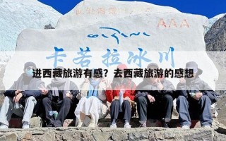 进西藏旅游有感？去西藏旅游的感想
