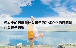 你心中的西藏是什么样子的？你心中的西藏是什么样子的呢