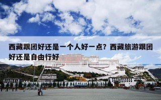 西藏跟团好还是一个人好一点？西藏旅游跟团好还是自由行好