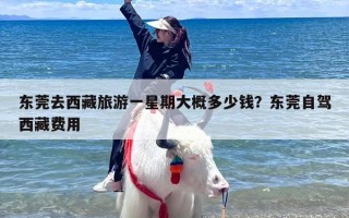 东莞去西藏旅游一星期大概多少钱？东莞自驾西藏费用